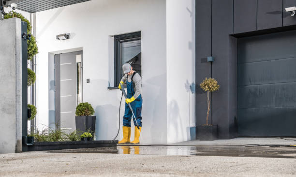 Animal Enclosure Cleaning in Elizabeth City, NC